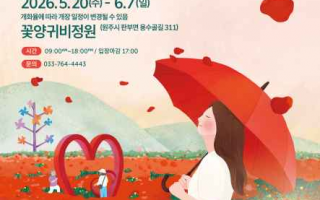 2026 원주용수골꽃양귀비축제