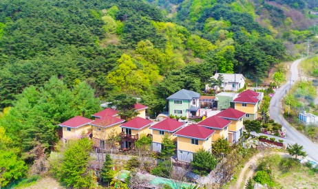 치악산 송림힐링펜션