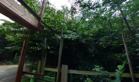 치악산백운네집