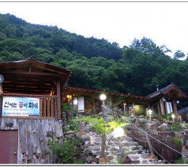 산에는꽃이피네