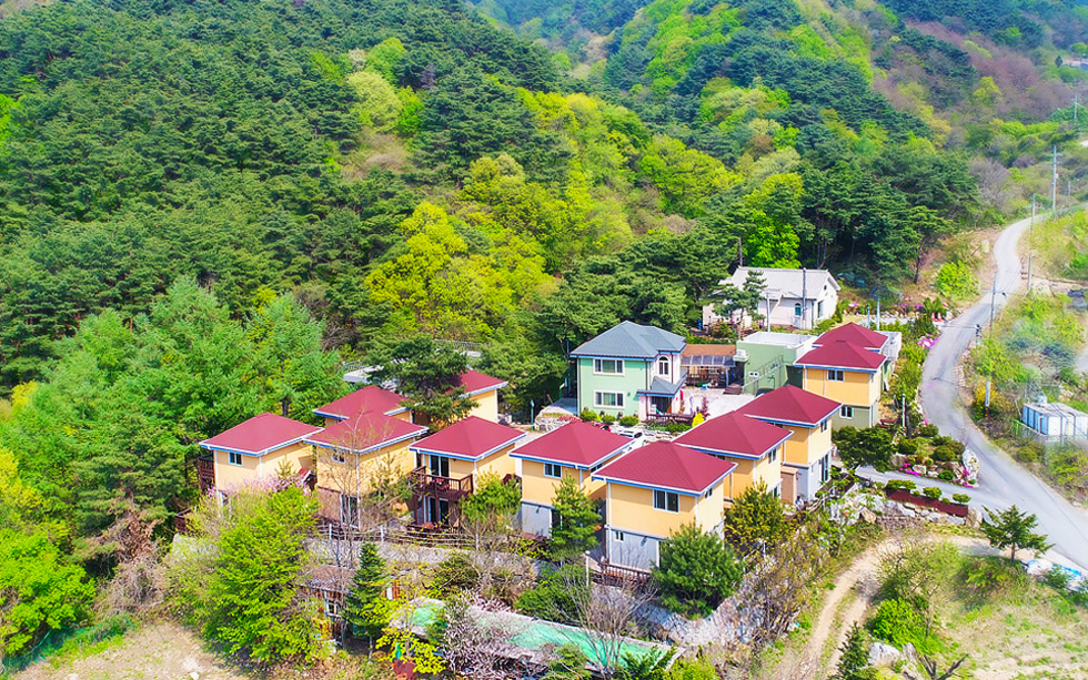 치악산 송림펜션